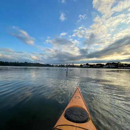 Avondale * Killala